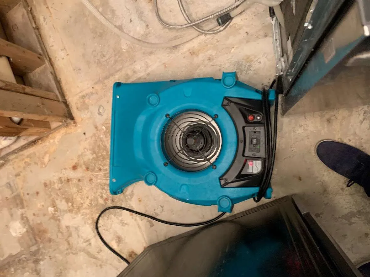 Air mover drying equipment for Mold Remediation & Removal in Flowery Branch